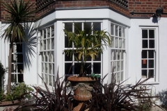 Box Sash Windows Gallery